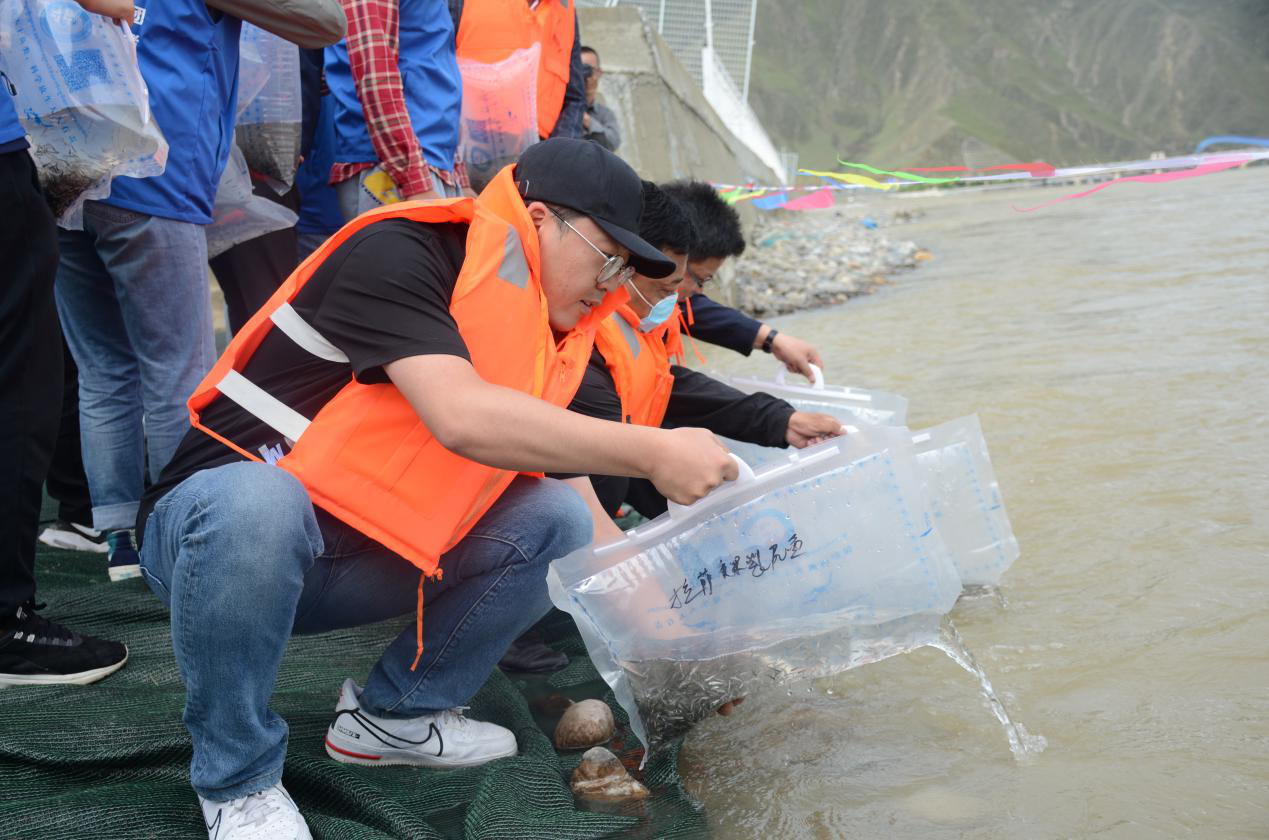 1596189530921945.png 1596189530921945.png